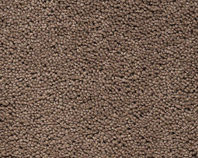 Ковролин Best Wool Pure Brunel d 40009 фото 1 | FLOORDEALER