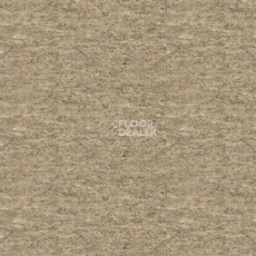 Линолеум Lg Durable DU99031 фото 1 | FLOORDEALER