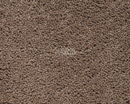 Ковролин Best Wool Pure Brunel d 40009 фото 1 | FLOORDEALER
