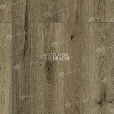 Ламинат Alpine Floor Intensity 12мм LF101-22 Дуб Эмполи фото 1 | FLOORDEALER