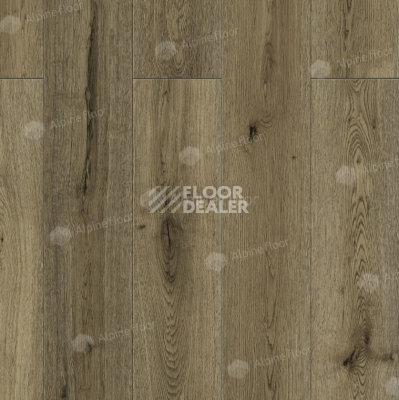 Ламинат Alpine Floor Intensity 12мм LF101-22 Дуб Эмполи фото 1 | FLOORDEALER