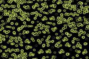 Ковролин Flotex Sottsass Bacteria 990103 фото  | FLOORDEALER