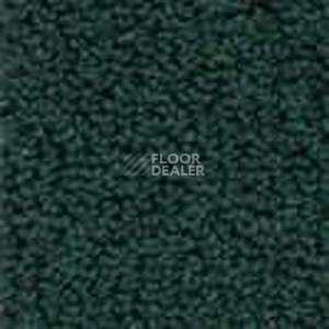 Ковролин Infloor Color 53 480 фото 1 | FLOORDEALER