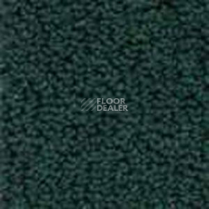 Ковролин Infloor Color 53 480 фото 1 | FLOORDEALER