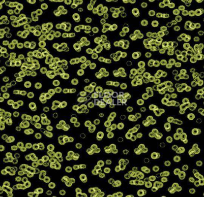 Ковролин Forbo Flotex Sottsass Bacteria 990103 фото 1 | FLOORDEALER