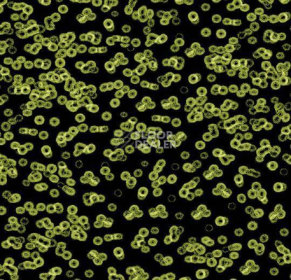 Ковролин Forbo Flotex Sottsass Bacteria 990103 фото 1 | FLOORDEALER