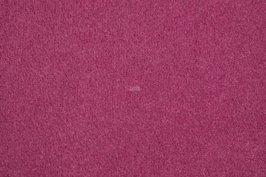 Vorwerk Passion 1000/Modena Vorwerk 1m01 фото 2 | FLOORDEALER