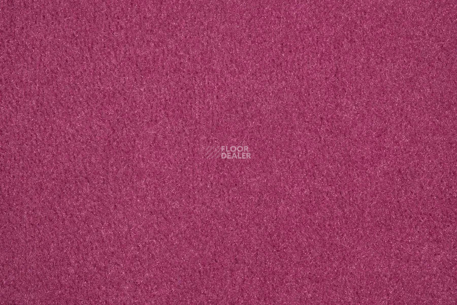 Vorwerk Passion 1000/Modena Vorwerk 1m01 фото 2 | FLOORDEALER