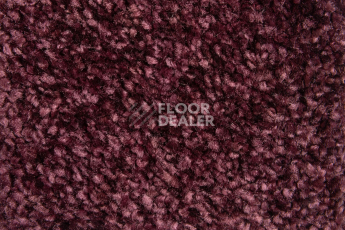 Balsan Sweet Dreams 860 фото 2 | FLOORDEALER