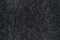 Flotex calgary planks p 990010 Calgary Ash фото 3 | FLOORDEALER
