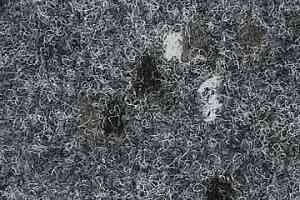 Ковролин Finett Accent 8150 фото  | FLOORDEALER