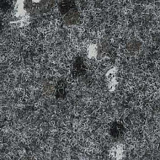 Finett Accent 8150 фото 1 | FLOORDEALER