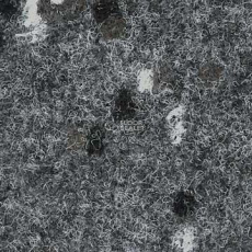 Finett Accent 8150 фото 1 | FLOORDEALER