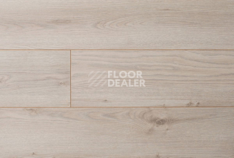 My Step Mega 8 MS 368 Дуб Каир фото 2 | FLOORDEALER