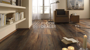 Kronotex Exquisit Plus d3570 Дуб Портовый фото 2 | FLOORDEALER