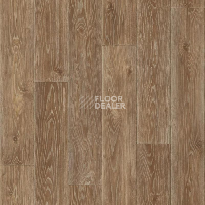 Линолеум Tarkett Eruption Spenser 2 фото 1 | FLOORDEALER