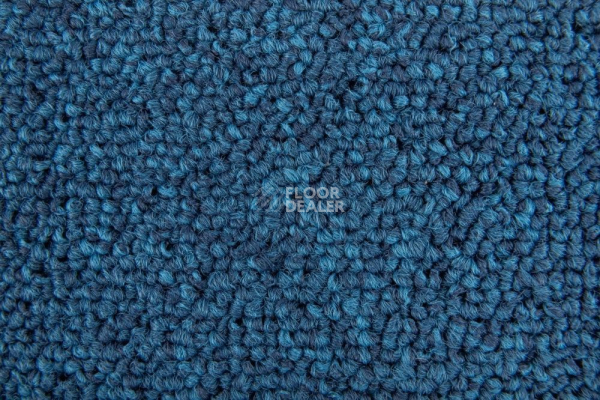 Ковровая плитка Standard Carpets Spectrum sm 556 фото 1 | FLOORDEALER