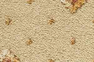 Ковролин Condor Carpets Asia 520 фото  | FLOORDEALER