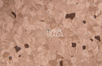 Tarkett Primo Plus 307 фото 2 | FLOORDEALER