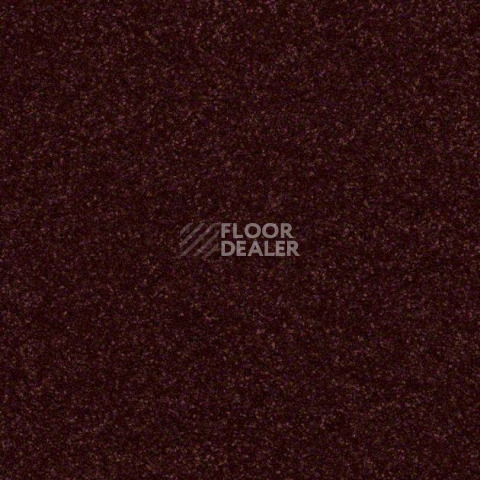 Ковролин Shaw Design Texture Platinum 920 фото 1 | FLOORDEALER