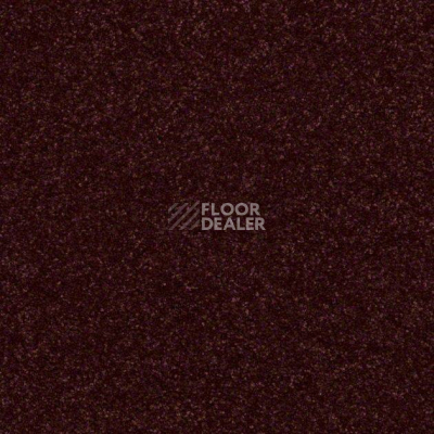 Ковролин Shaw Design Texture Platinum 920 фото 1 | FLOORDEALER