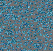 Ковролин Flotex Sottsass Bacteria 990303 фото 1 | FLOORDEALER