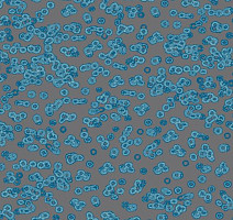 Ковролин Flotex Sottsass Bacteria 990303 фото 1 | FLOORDEALER