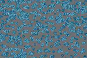 Ковролин Forbo Flotex Sottsass Bacteria 990303 фото  | FLOORDEALER