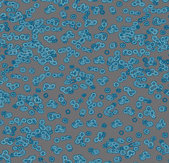 Ковролин Flotex Sottsass Bacteria 990303 фото 1 | FLOORDEALER