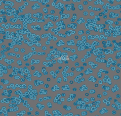 Flotex Sottsass Bacteria 990303 фото 1 | FLOORDEALER