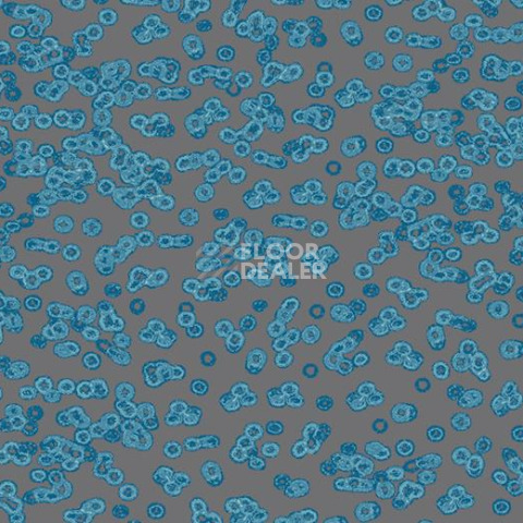 Ковролин Forbo Flotex Sottsass Bacteria 990303 фото 1 | FLOORDEALER
