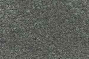 Ковролин Shaw Bradberry 30 746 фото  | FLOORDEALER