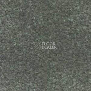 Ковролин Shaw Bradberry 30 746 фото 1 | FLOORDEALER