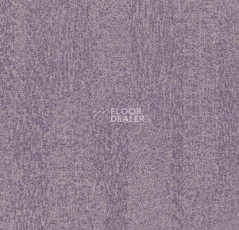 Ковролин Flotex Colour s 482027 Penang Orchid фото 1 | FLOORDEALER