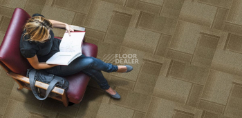 Cinema Cinema 744 фото 2 | FLOORDEALER