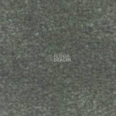 Ковролин Shaw Bradberry 30 746 фото 1 | FLOORDEALER