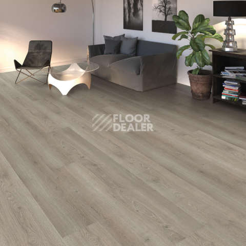 Haro Tritty 100 Gran Via 4V Дуб Флавия Серый 544726 фото 2 | FLOORDEALER