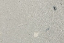 Forbo SureStep Star 176032 smoke фото 2 | FLOORDEALER