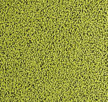 Ковровая плитка Interface Human Nature 830 608006 Kiwi фото 1 | FLOORDEALER