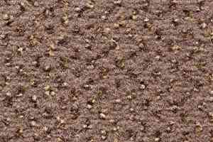 Ковролин Condor Carpets Argus 162 фото  | FLOORDEALER