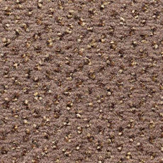 Ковролин Condor Carpets Argus 162 фото 1 | FLOORDEALER