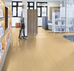 Forbo Marmoleum Striato Textura e5216 Pacific beaches фото 2 | FLOORDEALER