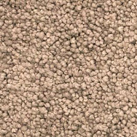 Ковролин AW Vivendi Vigour 44 фото 1 | FLOORDEALER