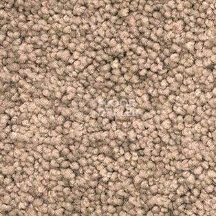 Ковролин AW Vivendi Vigour 44 фото 1 | FLOORDEALER