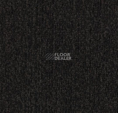 Грязезащитные покрытия Forbo Coral в плитке 4750 Warm Black фото 1 | FLOORDEALER
