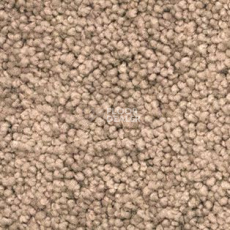 Ковролин AW Vivendi Vigour 44 фото 1 | FLOORDEALER