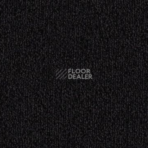 Ковролин Vorwerk Safira 9d78 фото 1 | FLOORDEALER
