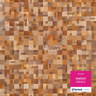 Линолеум Tarkett Fantasy FOCUS 2 фото 1 | FLOORDEALER
