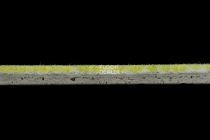 Flotex Colour Calgary 50*50 t 590014 Calgary Lime фото 3 | FLOORDEALER