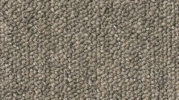 Ковровая плитка DESSO Airmaster Tierra 9095 фото 1 | FLOORDEALER